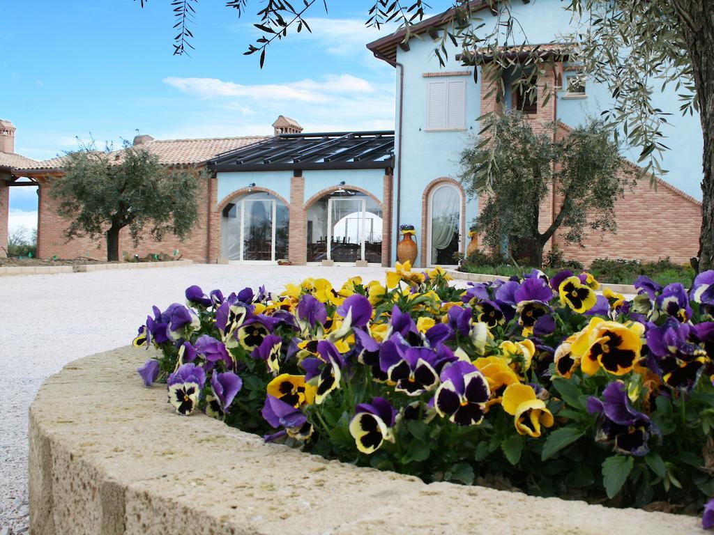 Agriturismo L'Infinito Villa Gambettola Kültér fotó